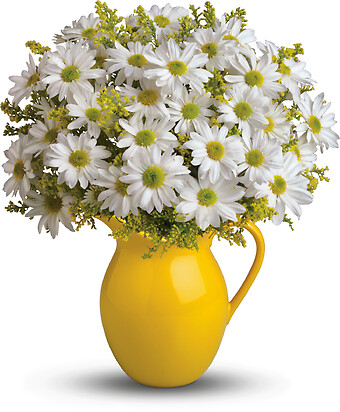 Sunny Day Pitcher of Daisies